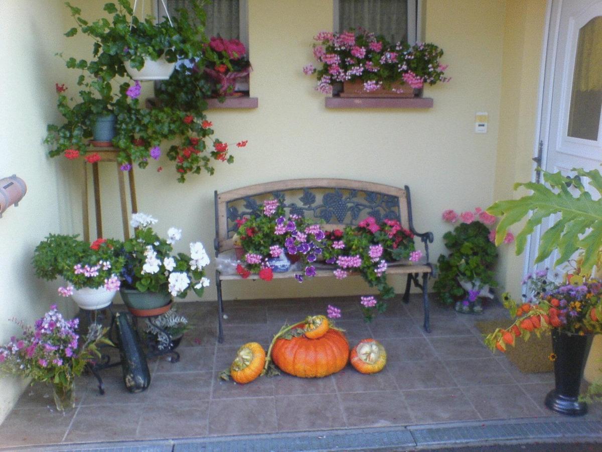 Chez Joséphine Bed and Breakfast Metting Esterno foto